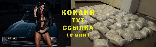 спиды Алзамай