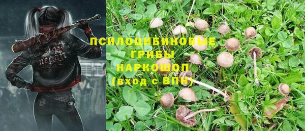 бутират Алексеевка